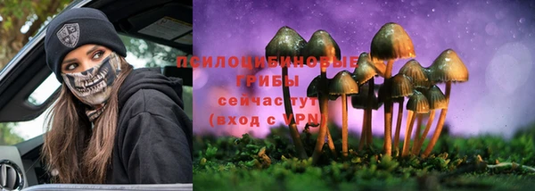 apvp Арсеньев