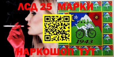 гашик Моздок