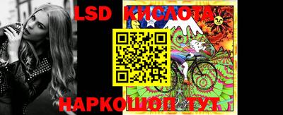 гашик Моздок