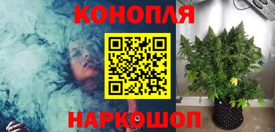 гашик Моздок