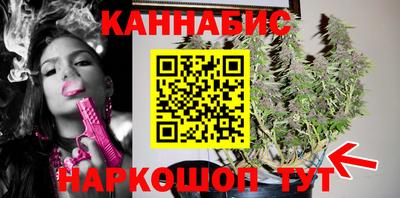 гашик Моздок