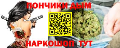 гашик Моздок