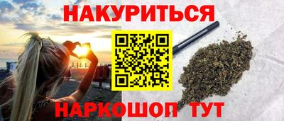 гашик Моздок