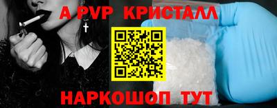 гашик Моздок