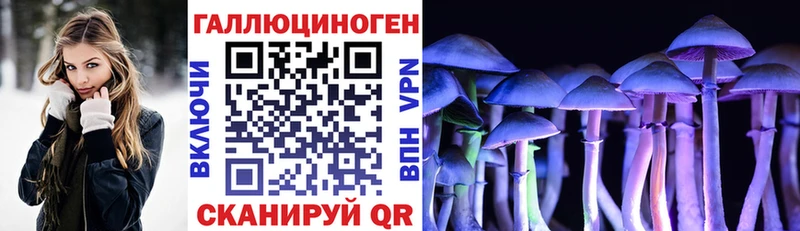 цены наркотик Чайковский Галлюциногенные грибы Magic Shrooms
