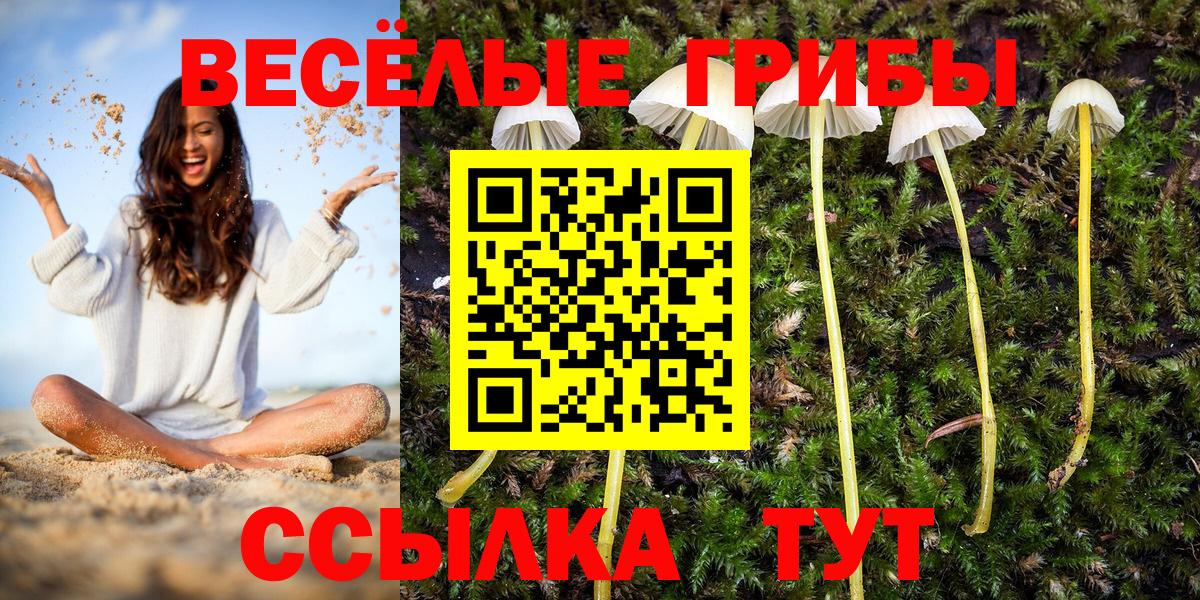 Галлюциногенные грибы мухоморы  Вход с VPN  Галлюциногенные грибы мицелий  Чайковский 