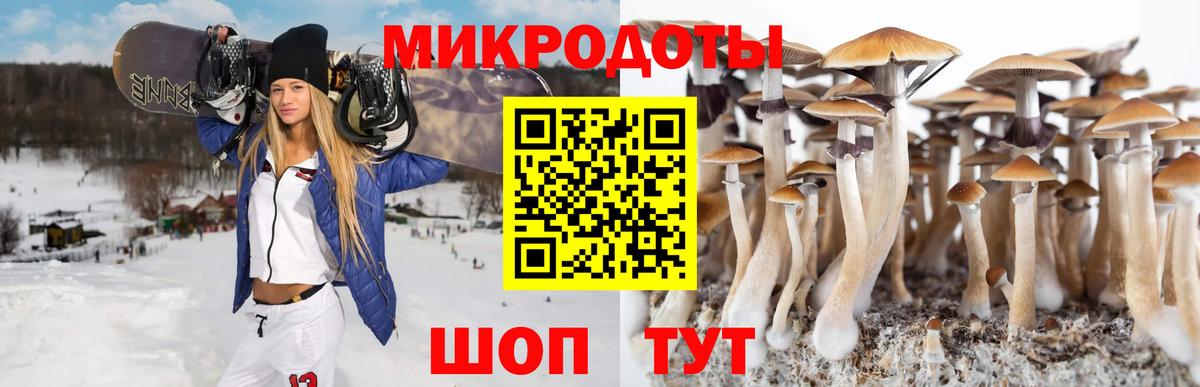 Псилоцибиновые грибы мухоморы Чайковский